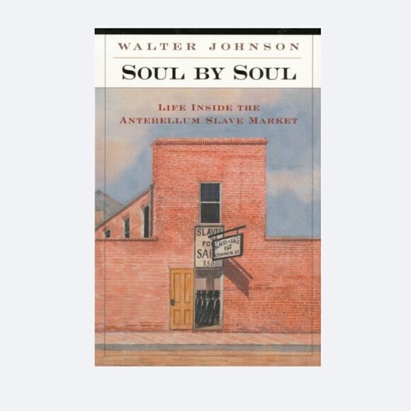“Soul by Soul: Life Inside the Antebellum Slave Market” by Walter Johnson (Paper - Picture 5 of 5